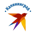 Размещение интеграции в Telegram. Логотип Телеграм канала "КП Калининград | Новости региона" Размещение интеграции в Telegram. Логотип Телеграм канала @kpkld