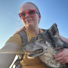 Размещение интеграции в Telegram. Логотип Телеграм канала "Лисейкина про путешествия, фотографию и вообще" Размещение интеграции в Telegram. Логотип Телеграм канала @liseykina_travel