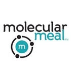 Размещение интеграции в Telegram. Логотип Телеграм канала @molecularmeal_recepti