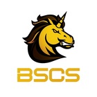 Advertising in Telegram. Telegram Channel logo @BSCS_Global