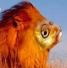 Размещение интеграции в Telegram. Логотип Телеграм канала @memobossik