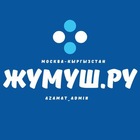 Размещение интеграции в Telegram. Логотип Телеграм канала @JUMUSHMOSKWA