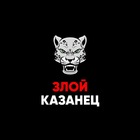 Размещение интеграции в Telegram. Логотип Телеграм канала "Злой Казанец | Жалобы Казань" Размещение интеграции в Telegram. Логотип Телеграм канала @zloy_kzn