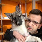 Размещение интеграции в Telegram. Логотип Телеграм канала "Блогер и Волонтер SobakaFun" Размещение интеграции в Telegram. Логотип Телеграм канала @sobfun