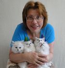 Размещение интеграции в Telegram. Логотип Телеграм канала @kotved