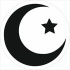 Размещение интеграции в Telegram. Логотип Телеграм канала @turkeypar