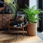 Размещение интеграции в Telegram. Логотип Телеграм канала @rasteniya_v_interiere