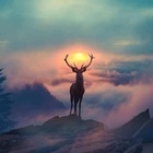 Advertising in Telegram. Telegram Channel logo @al3a_k