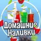 Размещение интеграции в Telegram. Логотип Телеграм канала "Домашние Наливки" Размещение интеграции в Telegram. Логотип Телеграм канала Домашние Наливки