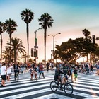 Размещение интеграции в Telegram. Логотип Телеграм канала "ЛОС-АНДЖЕЛЕС 🌴 | КАЛИФОРНИЯ ЧАТ" Размещение интеграции в Telegram. Логотип Телеграм канала @Los_AngelesLa