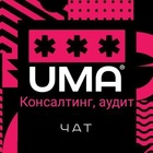 Размещение интеграции в Telegram. Логотип Телеграм канала @audit_topchat