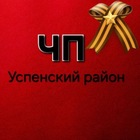 Размещение интеграции в Telegram. Логотип Телеграм канала @uspenskiiraion