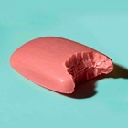 Размещение интеграции в Telegram. Логотип Телеграм канала @bankiskyanki