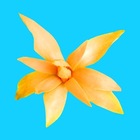 Advertising in Telegram. Telegram Channel logo "Top Tropicals Useful Plants" Advertising in Telegram. Telegram Channel logo @toptropicals