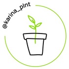 Размещение интеграции в Telegram. Логотип Телеграм канала @karina_plnt