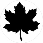 Размещение интеграции в Telegram. Логотип Телеграм канала @canadapa