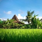 Размещение интеграции в Telegram. Логотип Телеграм канала @baliof