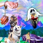 Размещение интеграции в Telegram. Логотип Телеграм канала @shitposteng