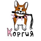 Размещение интеграции в Telegram. Логотип Телеграм канала "КОРГИЯ" Размещение интеграции в Telegram. Логотип Телеграм канала @korgi_tut