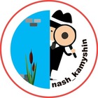 Размещение интеграции в Telegram. Логотип Телеграм канала @nash_kamyshin