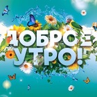 Размещение интеграции в Telegram. Логотип Телеграм канала "Тележка с открытками для всей семьи" Размещение интеграции в Telegram. Логотип Телеграм канала @ideas_for_ny