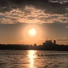 Размещение интеграции в Telegram. Логотип Телеграм канала @delfinvrn