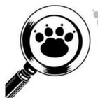 Размещение интеграции в Telegram. Логотип Телеграм канала @poisk_zhivotnyh_samara