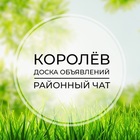 Размещение интеграции в Telegram. Логотип Телеграм канала @korolew_chat