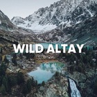 Размещение интеграции в Telegram. Логотип Телеграм канала "WILD ALTAY - ПУТЕШЕСТВИЯ ПО АЛТАЮ" Размещение интеграции в Telegram. Логотип Телеграм канала @wild_altay