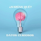 Advertising in Telegram. Telegram Channel logo "💡🤔¿Sabías qué? Datos Curiosos" Advertising in Telegram. Telegram Channel logo @sabiasquedatoscuriosos