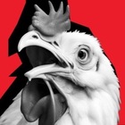 Размещение интеграции в Telegram. Логотип Телеграм канала @kupons_kfc