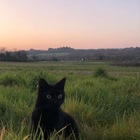 Размещение интеграции в Telegram. Логотип Телеграм канала @iwouldnow_7777