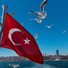 Размещение интеграции в Telegram. Логотип Телеграм канала @Turkisheveryday