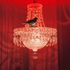 Размещение интеграции в Telegram. Логотип Телеграм канала @bird_home