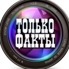 Размещение интеграции в Telegram. Логотип Телеграм канала @tolkofakti2024
