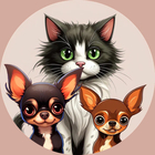 Размещение интеграции в Telegram. Логотип Телеграм канала @domlubimci