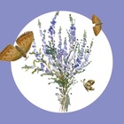 Размещение интеграции в Telegram. Логотип Телеграм канала @vereskart