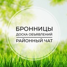 Размещение интеграции в Telegram. Логотип Телеграм канала @bronnitzi_chat