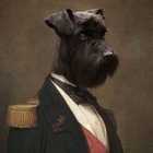 Advertising in Telegram. Telegram Channel logo @myLordBebo