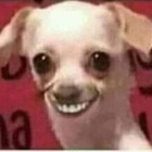 Advertising in Telegram. Telegram Channel logo Almacenamiento