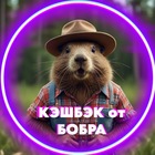 Размещение интеграции в Telegram. Логотип Телеграм канала @cashbudni