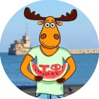 Размещение интеграции в Telegram. Логотип Телеграм канала "ТИПИЧНАЯ ФЕОДОСИЯ" Размещение интеграции в Telegram. Логотип Телеграм канала @tf_feo