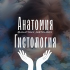 Размещение интеграции в Telegram. Логотип Телеграм канала @anatomy_gistology