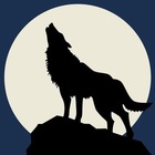 Advertising in Telegram. Telegram Channel logo "Black Werewolf Announcements" Advertising in Telegram. Telegram Channel logo @BlackWolfAnnouncements