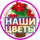 Размещение интеграции в Telegram. Логотип Телеграм канала "Наши цветы | Советы | Лайфхаки" Размещение интеграции в Telegram. Логотип Телеграм канала @ourflowers1
