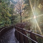 Размещение интеграции в Telegram. Логотип Телеграм канала @afishamoskvy