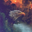 Advertising in Telegram. Telegram Channel logo @WillTelegrammer