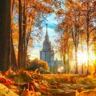 Размещение интеграции в Telegram. Логотип Телеграм канала @mos_roman