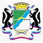 Размещение интеграции в Telegram. Логотип Телеграм канала Наш Новосибирск🔥