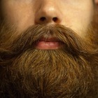 Размещение интеграции в Telegram. Логотип Телеграм канала АНЕКДОТЫ С БОРОДОЙ